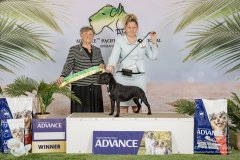 API 2025 - Intermediate in Group - Handled by Jody Davis