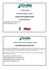 CRUFTS Qualifier
