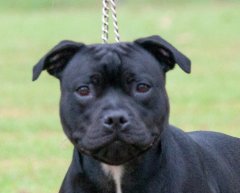 2025 - Mai head shot