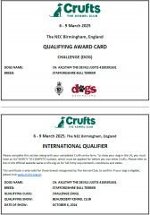 Crufts_Qualifyer.png